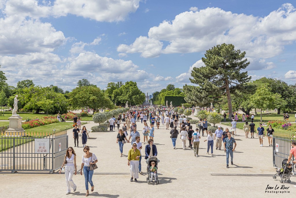 Jardin des Tuilerie - Paris - 2022 - Ivan Le Roux Photographe