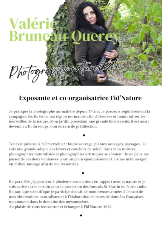 Valérie Bruneau-Querey