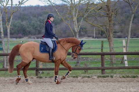 Alexandra LE ROUX CSO équitation avec Quick Boy