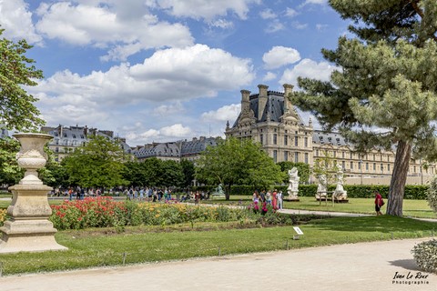 Jardin des Tuilerie - Paris - 2022 - Ivan Le Roux Photographie