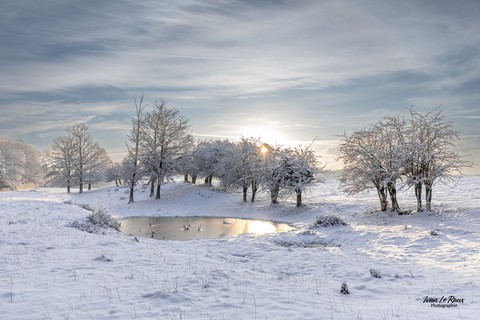 Romilly-La-Puthenaye sous la neige  (27) - La Noé de Bougy - 2024 - pHOTOGRAPHE iVAN lE rOUX
