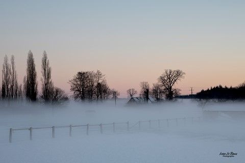 Romilly-La-Puthenaye sous la neige (27) - La Noé de Bougy - 2024 - Ivan Le Roux photographie ILR normandie