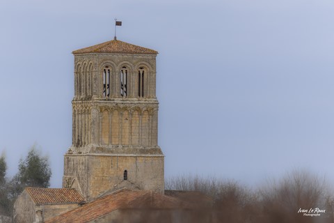 Eglise de Thézac (17) - 2022 - Canon EOS R7 -  Sigma 500 mm F/4 OS HSM SPORT   1/8000s, f/4 ISO 800  Priorité Ouverture​ - photographe Ivan Le Roux - Charente-maritime